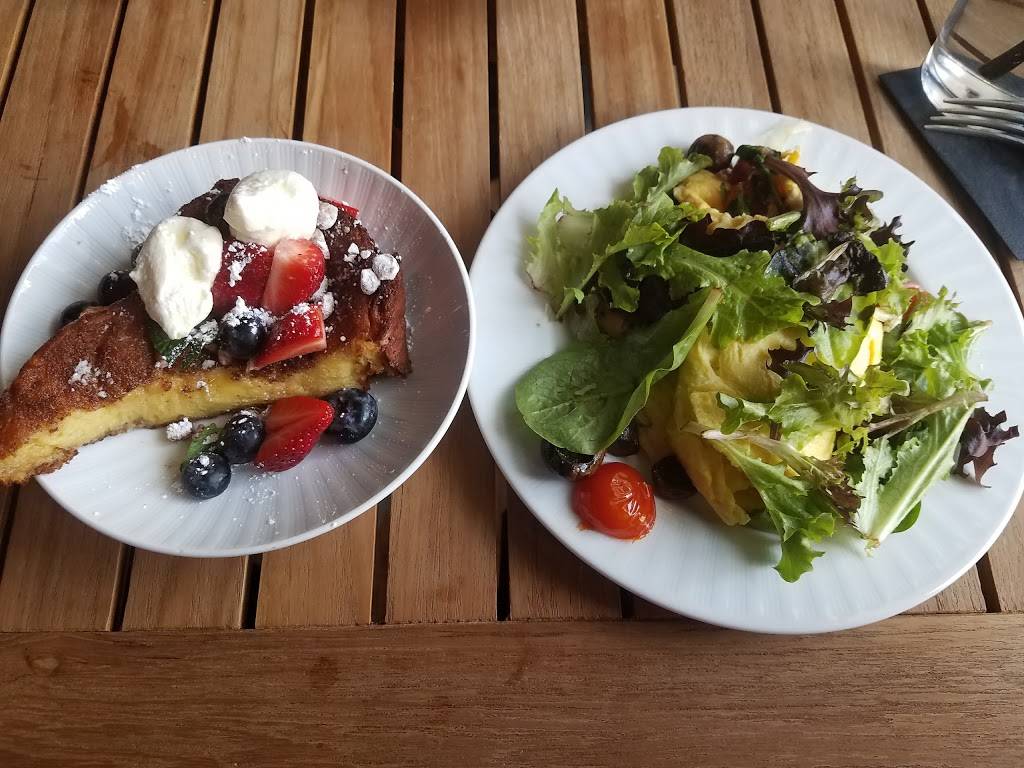 Oz Restaurant & Bar | restaurant | 2950 Clarendon Blvd, Arlington, VA 22201, USA | 7036640693 OR +1 703-664-0693