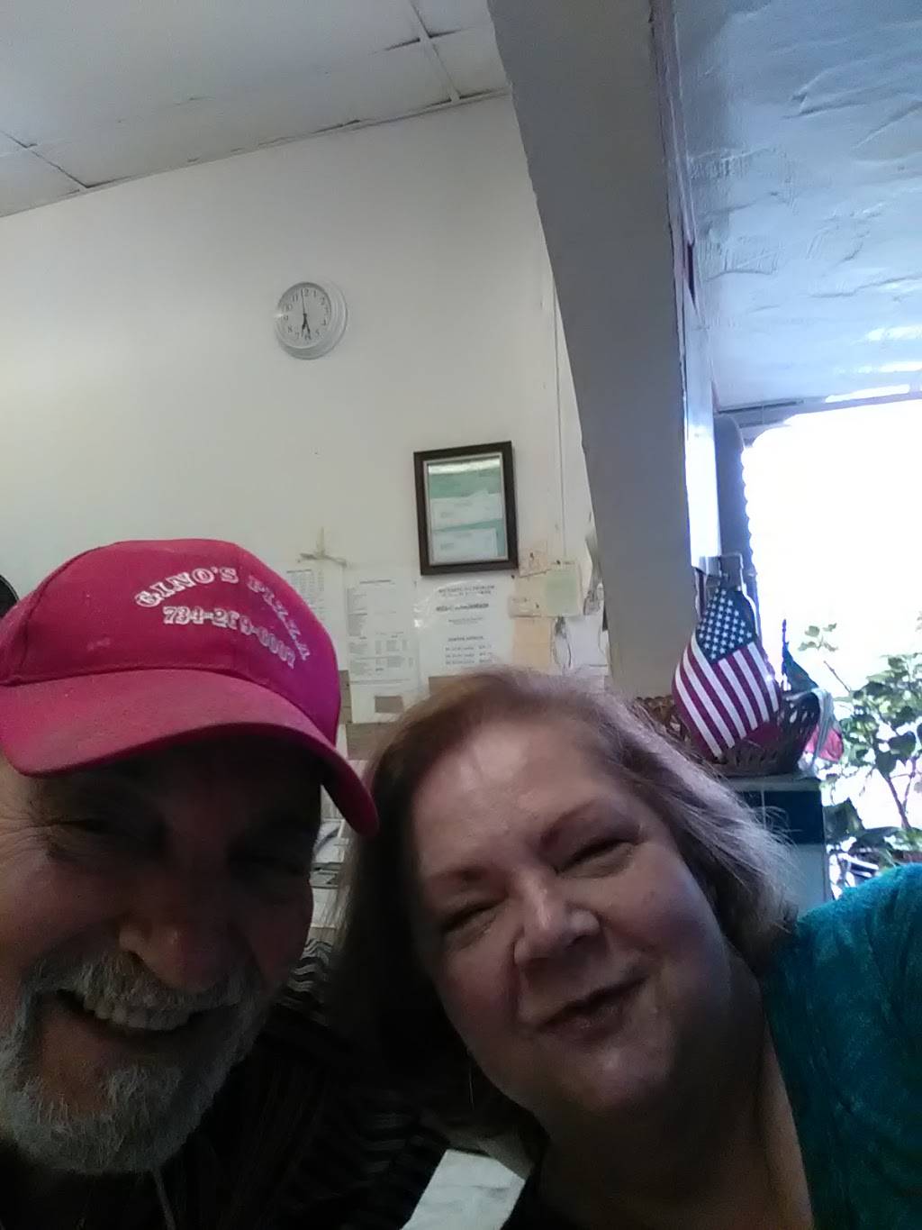 Ginos Pizza & Sub Station | restaurant | 2805 Lewis Ave, Ida, MI 48140, USA | 7342696007 OR +1 734-269-6007