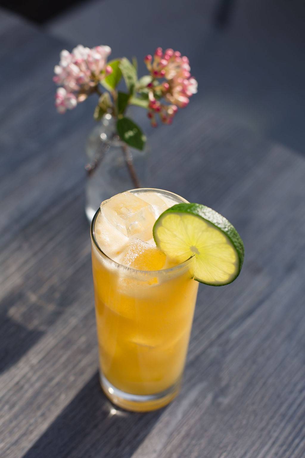 Sonder Eatery | restaurant | 3380 Chicago Dr, Hudsonville, MI 49426, USA | 6162026379 OR +1 616-202-6379