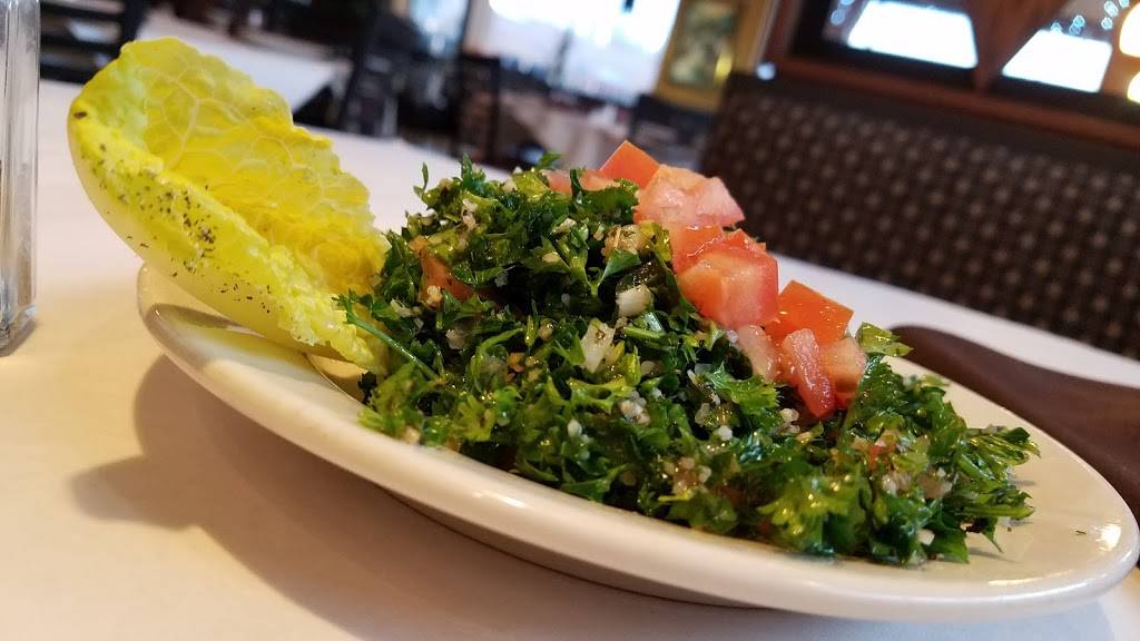 Shish House | restaurant | 8465 Lilley Rd, Canton, MI 48187, USA | 7344515544 OR +1 734-451-5544