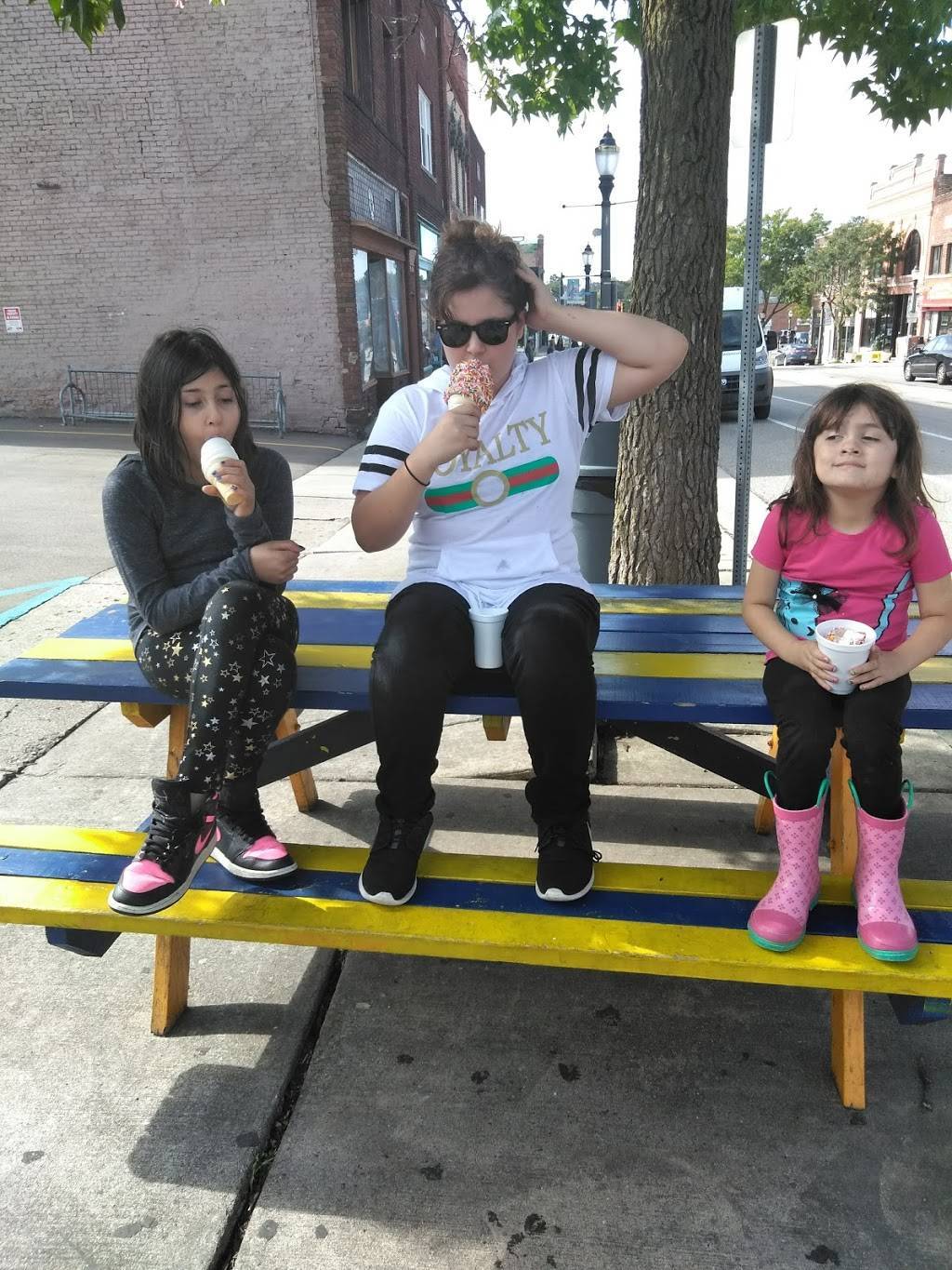 Arctic Corner | restaurant | 314 E Grand River Ave, Lansing, MI 48906, USA | 5172852578 OR +1 517-285-2578