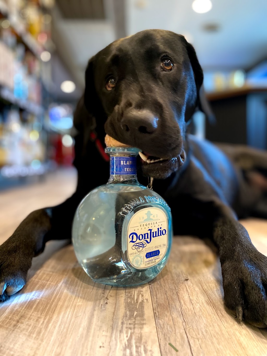 Black Dog Bar | night club | 1510 County Rd 539, Little Egg Harbor Township, NJ 08087, USA | 6092963500 OR +1 609-296-3500