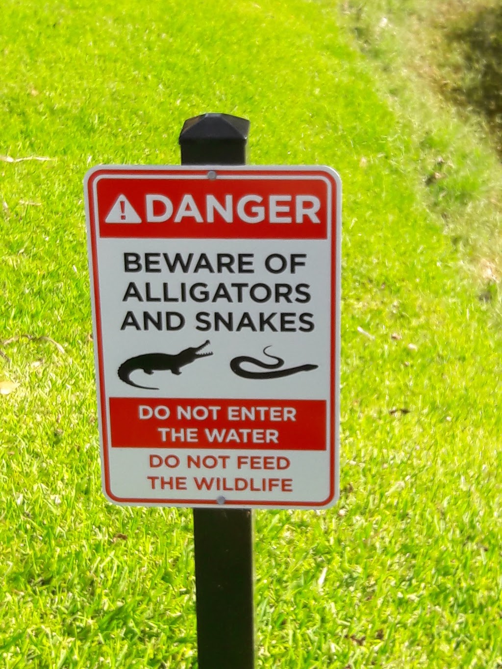 Kisses From Italy | cafe | Wyndham Palm Aire, 2601 North, Palm Aire Dr N, Pompano Beach, FL 33069, USA | 9549705038 OR +1 954-970-5038