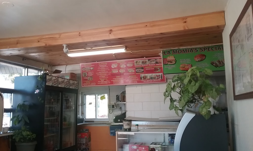 La Momia Tacos | restaurant | 1100 Nebraska St, Sioux City, IA 51105, USA | 7122244721 OR +1 712-224-4721