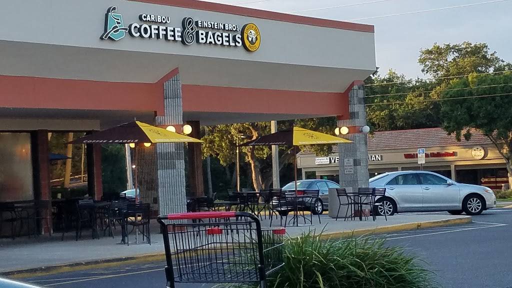 Einstein Bros. Bagels | cafe | 2519 McMullen Booth Rd, Clearwater, FL 33761, USA | 7277913909 OR +1 727-791-3909