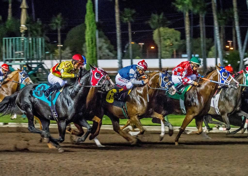 Los Alamitos Race Course | restaurant | 4961 Katella Ave, Cypress, CA 90720, USA | 7148202800 OR +1 714-820-2800