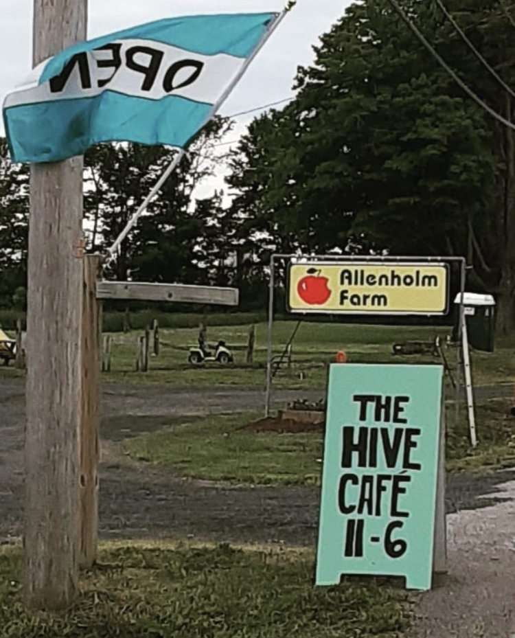 The Hive Café | restaurant | 111 South St, South Hero, VT 05486, USA | 8023916134 OR +1 802-391-6134