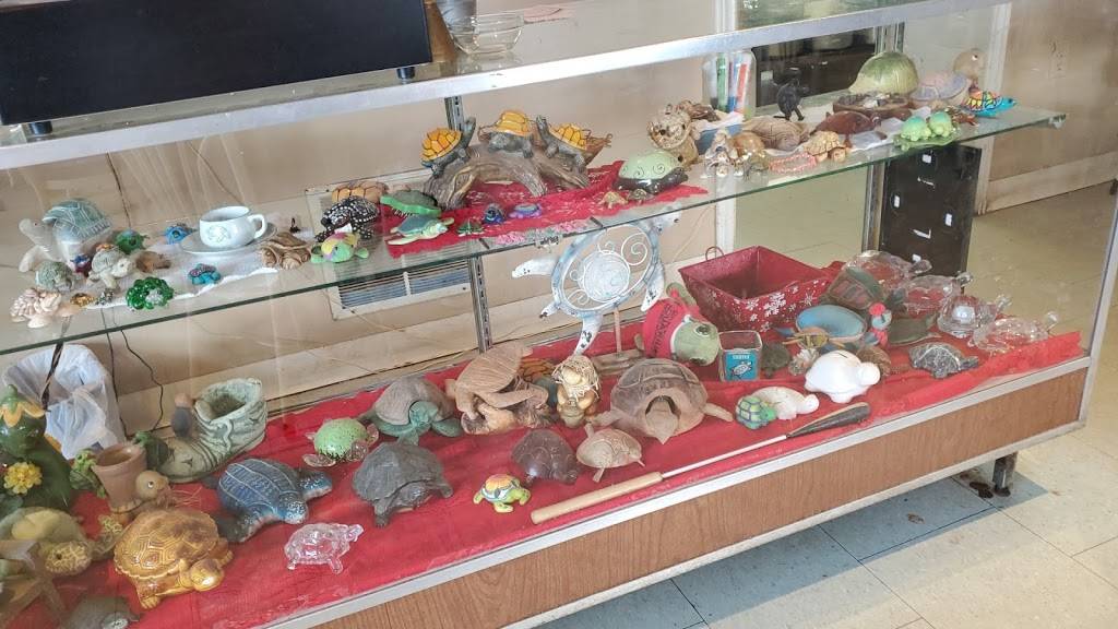 Little Turtles 2 | restaurant | 2350 York Rd, Deseronto, ON K0K 1X0, Canada | 6133964016 OR +1 613-396-4016