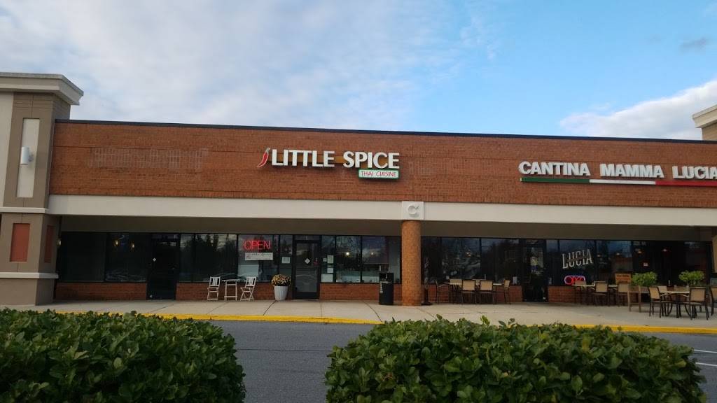 Little Spice | restaurant | 1350 Dorsey Rd, Hanover, MD 21076, USA | 4108590100 OR +1 410-859-0100