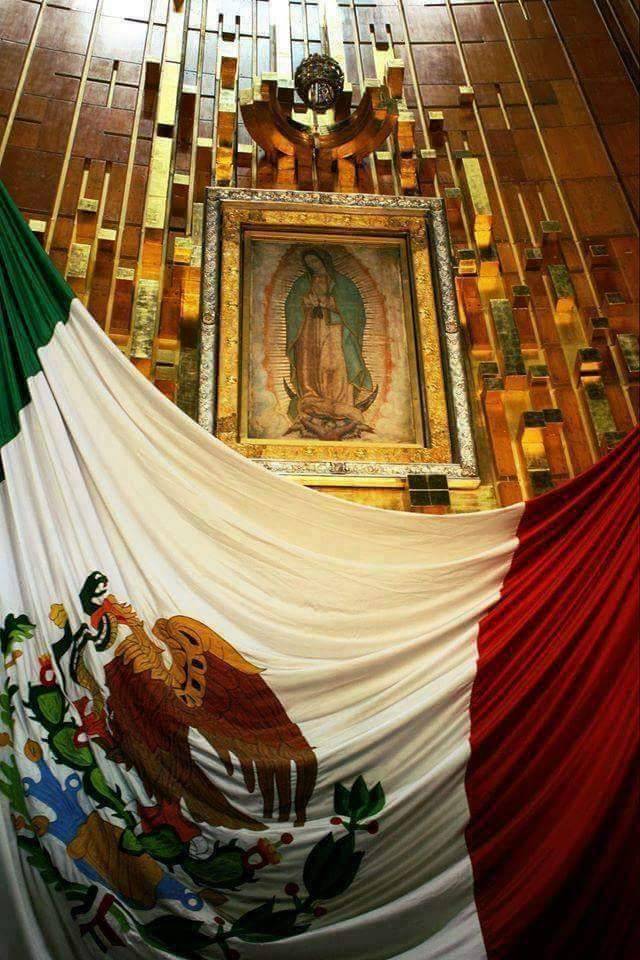 Wings n Things | restaurant | 3375 Hwy 6, Sugar Land, TX 77478, USA | 2812422999 OR +1 281-242-2999