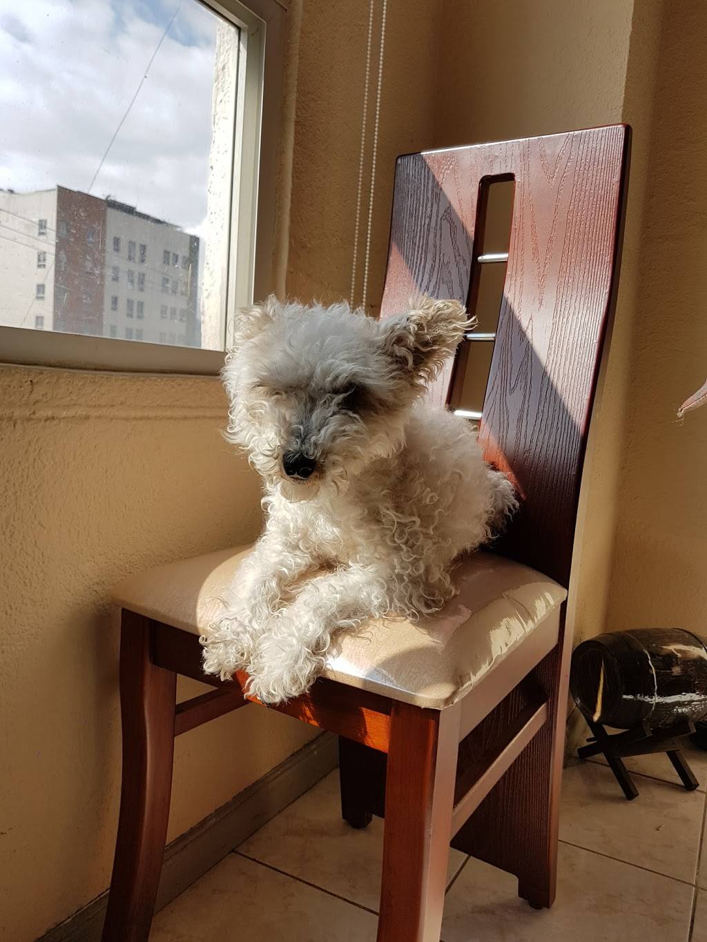 Bum Steer | restaurant | 105 S Buffalo St, Elkland, PA 16920, USA | 8142585142 OR +1 814-258-5142