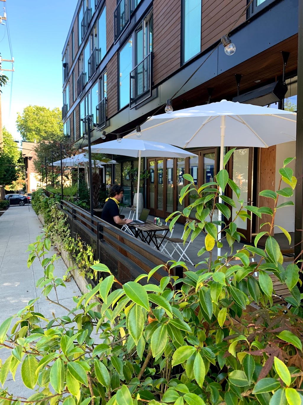 Bounty Kitchen Capitol Hill | restaurant | 550 19th Ave E, Seattle, WA 98112, USA | 2067172154 OR +1 206-717-2154