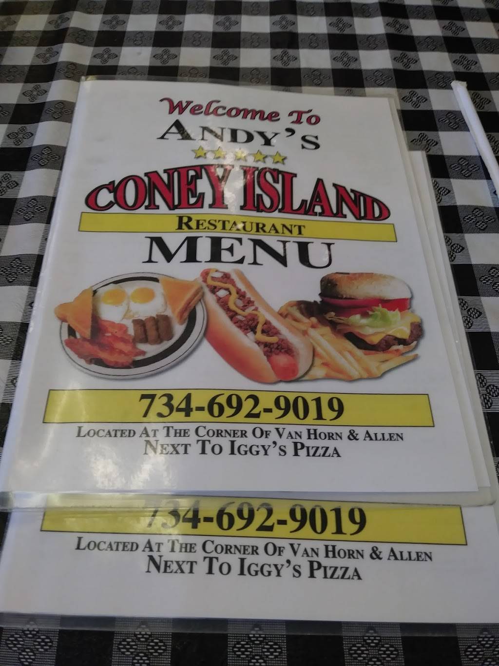 Andys Coney Island | restaurant | 19458 Van Horn Rd, Woodhaven, MI 48183, USA | 7346929019 OR +1 734-692-9019