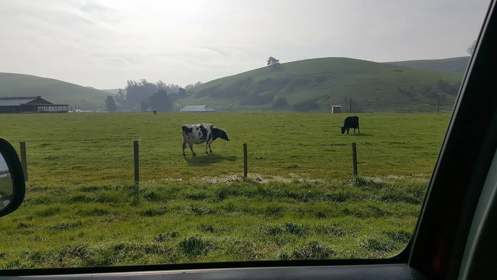 Bodega Bay Oyster Company | restaurant | 12830 Valley Ford Rd, Petaluma, CA 94952, USA | 7078763010 OR +1 707-876-3010