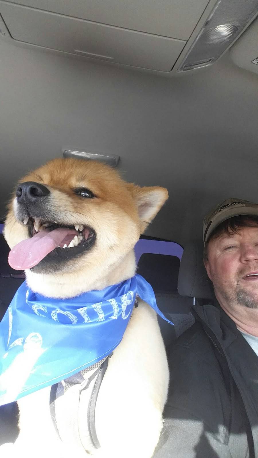 Greek Gyro Restaurant | restaurant | 562 Waldron Rd, La Vergne, TN 37086, USA | 6157934231 OR +1 615-793-4231