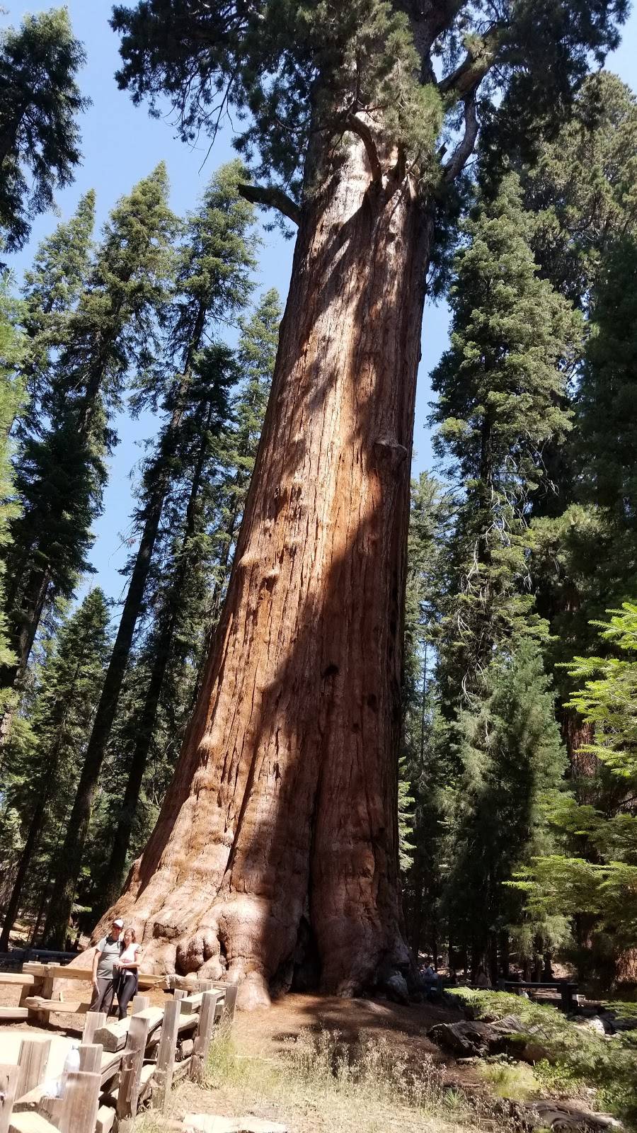 La Morenita | restaurant | 1320 La Puerta St, Los Angeles, CA 90023, USA | 3232659722 OR +1 323-265-9722