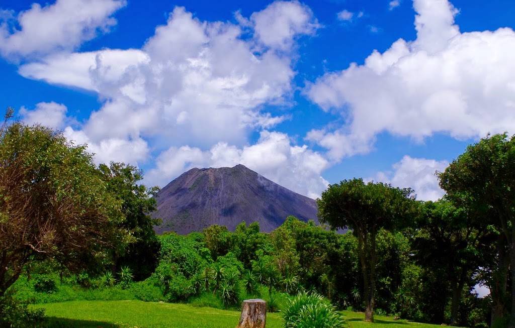 El Carbonero # 2 | restaurant | 8925 Sepulveda Blvd Suite 113, North Hills, CA 91343, USA | 8188913157 OR +1 818-891-3157