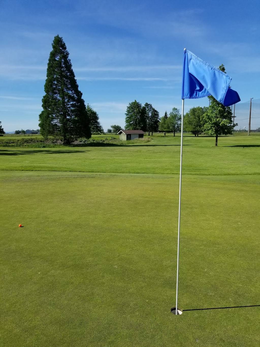 Fiddlers Green Golf Center | cafe | 91292 State Hwy 99 N, Eugene, OR 97402, USA | 5416898464 OR +1 541-689-8464