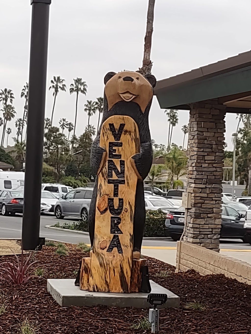 Black Bear Diner Ventura | restaurant | 2401 E Harbor Blvd, Ventura, CA 93001, USA | 8056659109 OR +1 805-665-9109