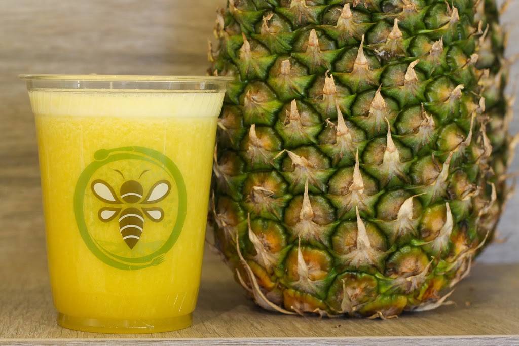 GAIA THERAPEAT | restaurant | 1722 N Federal Hwy, Hollywood, FL 33020, USA | 9543749487 OR +1 954-374-9487