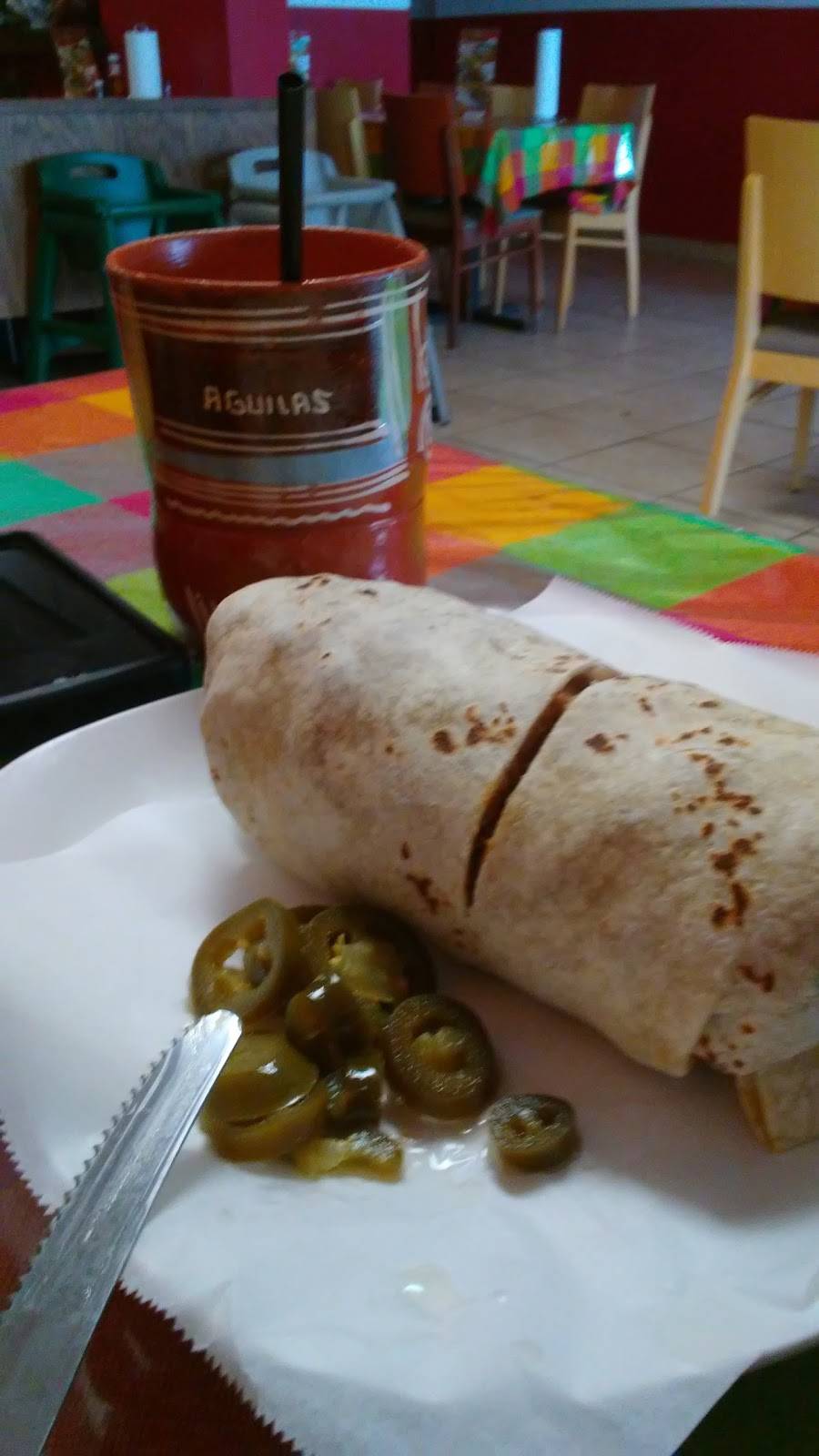 El Calamares | restaurant | 420 S Sherman Dr, Indianapolis, IN 46201, USA | 3173562112 OR +1 317-356-2112