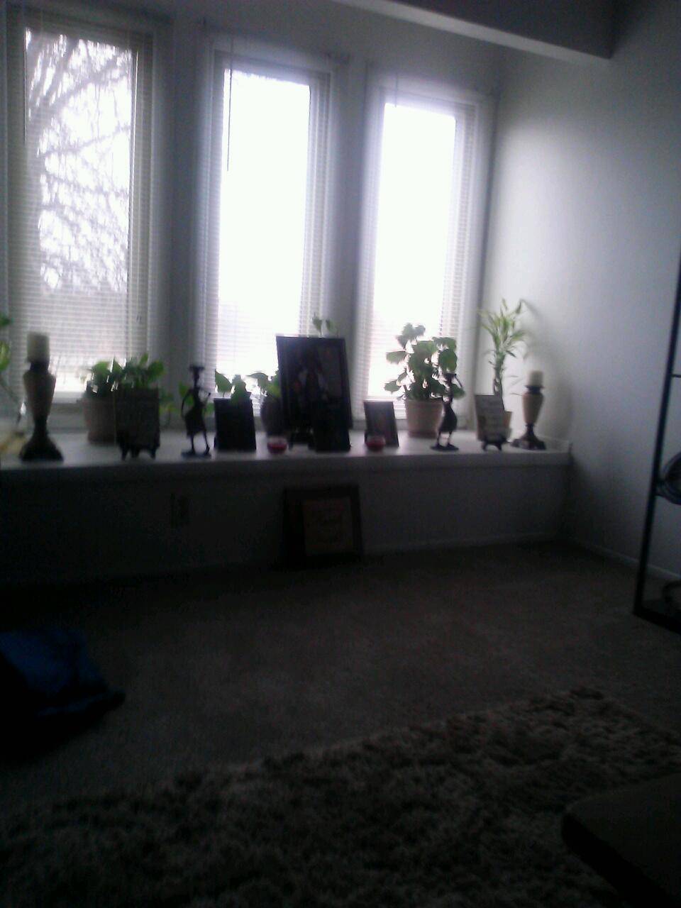 Nickys Hot Dogs | restaurant | 1500 N Main St, Crown Point, IN 46307, USA | 2196638430 OR +1 219-663-8430