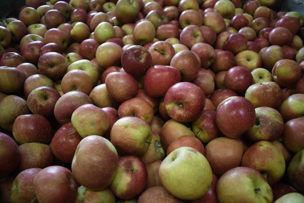 TreeRock Social Cider House | restaurant | 760 Biltmore Ave, Asheville, NC 28803, USA | 8285050130 OR +1 828-505-0130