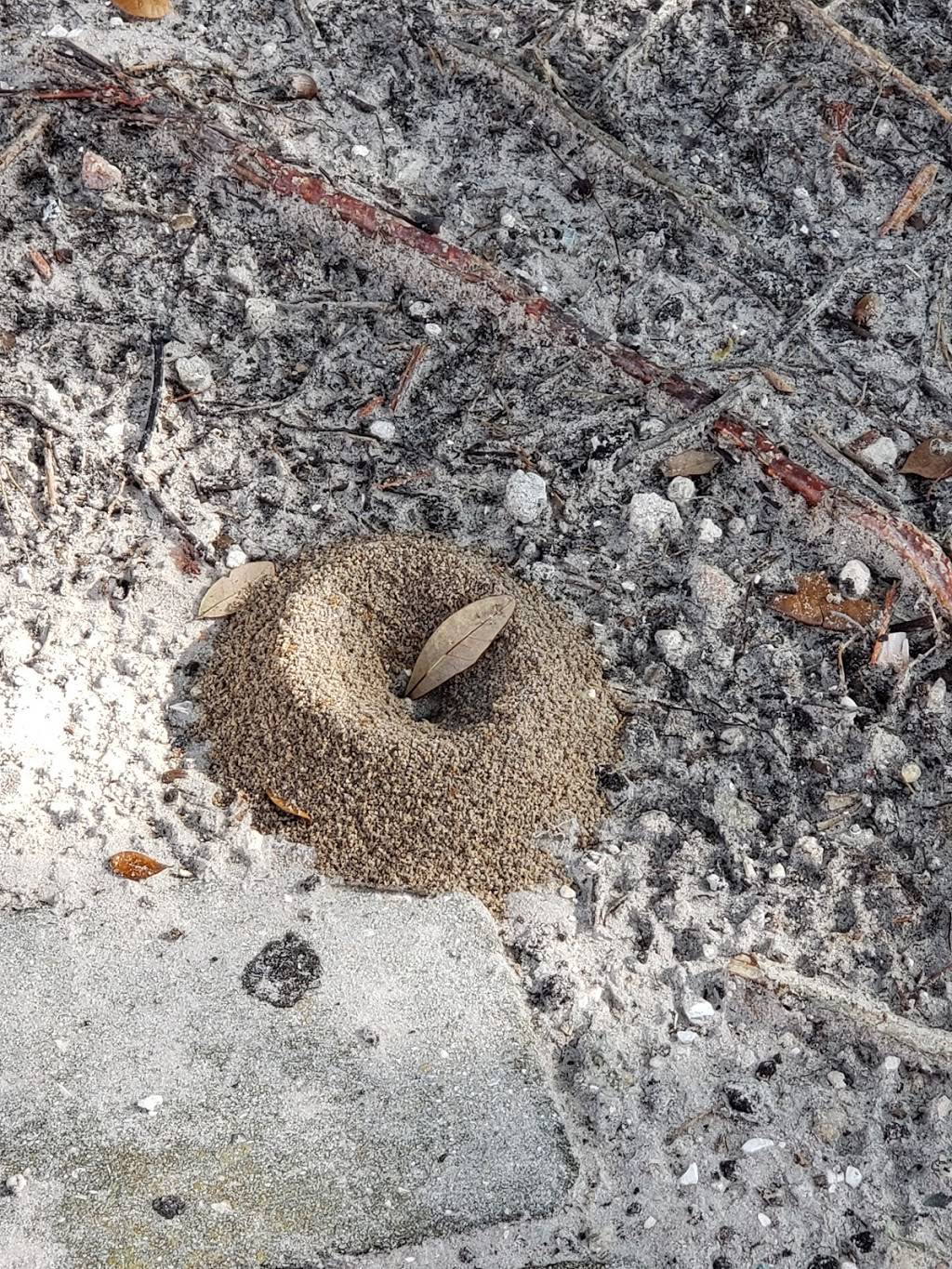 Arbys | restaurant | 9290 Daniels Pkwy, Fort Myers, FL 33912, USA | 2397682005 OR +1 239-768-2005