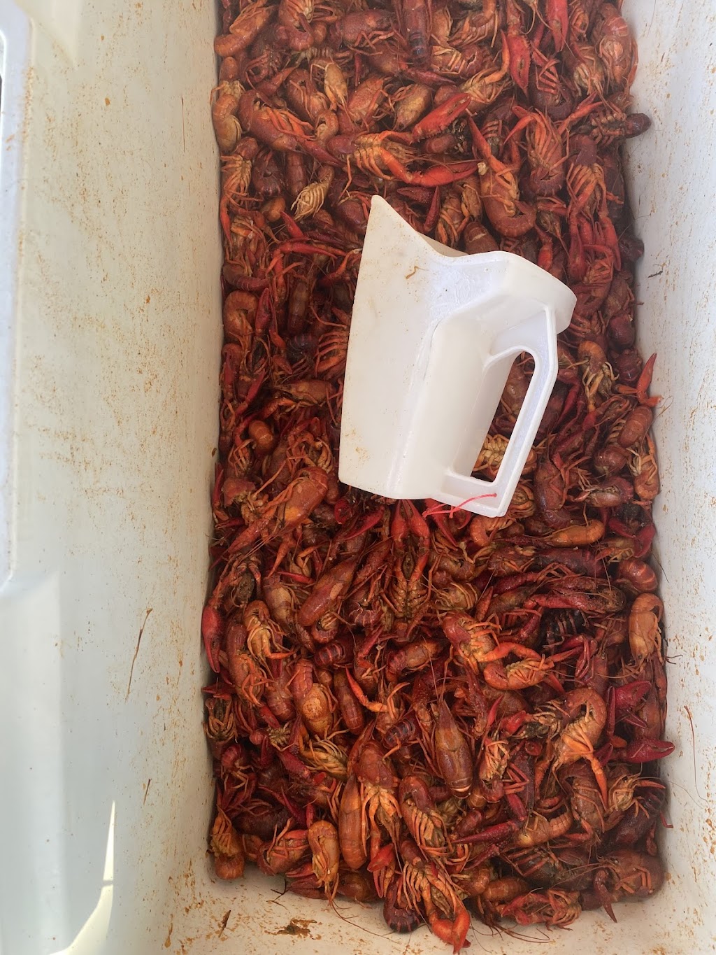 Roux Babys Crawfish&Seafood | restaurant | 183 Maverick, New Braunfels, TX 78132, USA | 8324212952 OR +1 832-421-2952