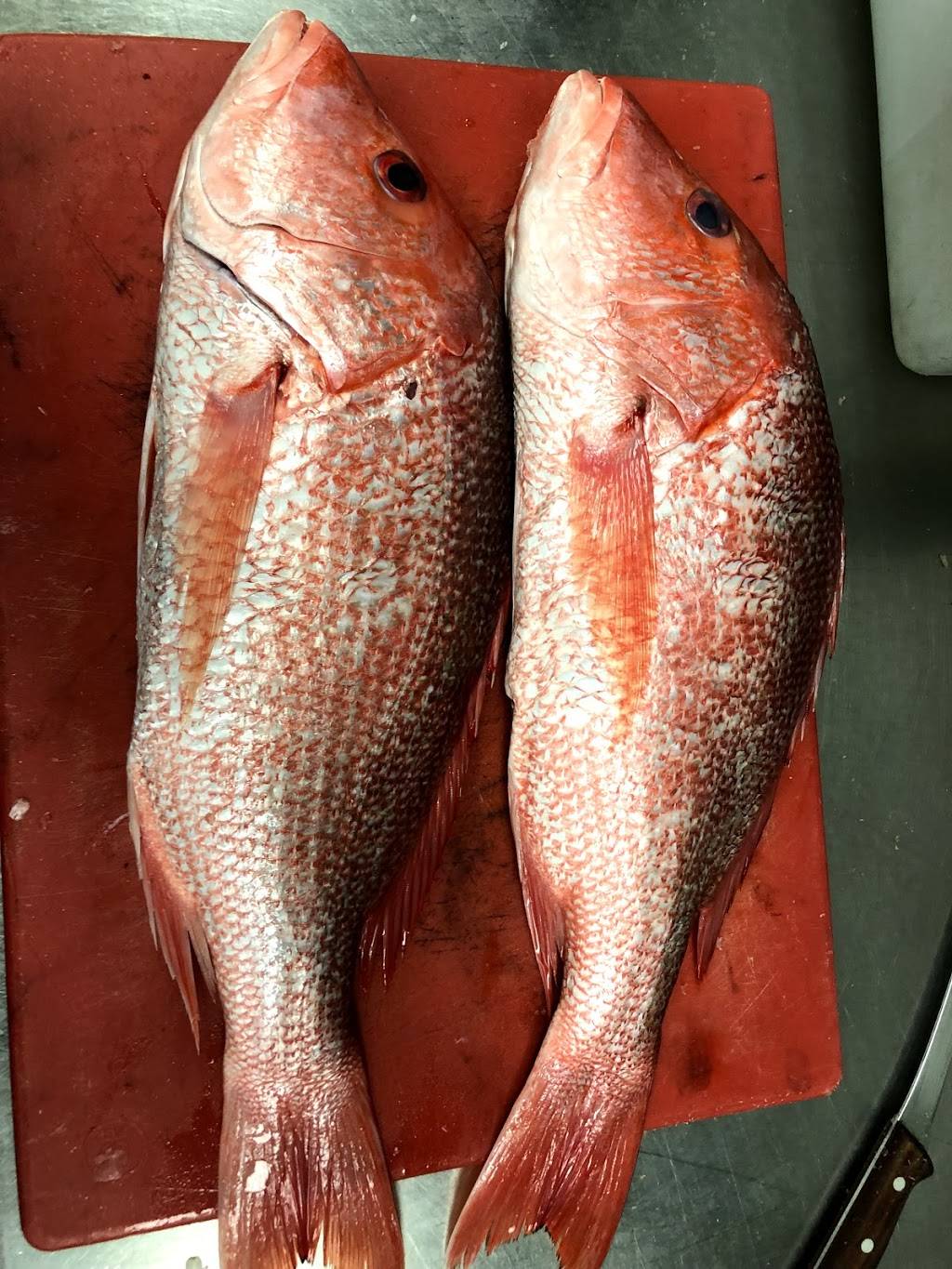 Mimosa Restaurant and Lounge | restaurant | 14415 Blanco Rd, San Antonio, TX 78216, USA | 2104082670 OR +1 210-408-2670