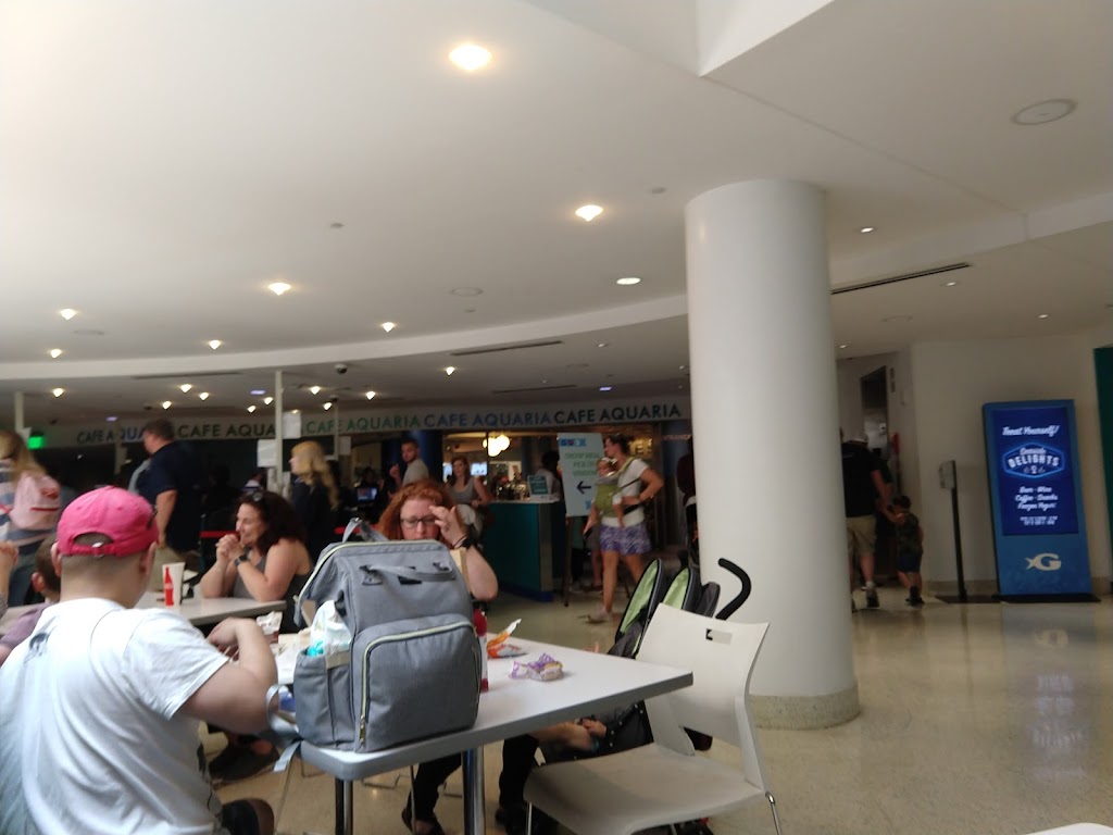 Café Aquaria | restaurant | 225 Baker St NW, Atlanta, GA 30313, USA | 4045814029 OR +1 404-581-4029