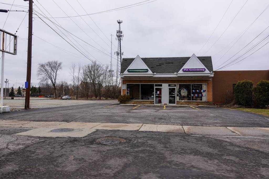 Mama Jos Pizza & Wings | restaurant | 32975 Aurora Rd, Solon, OH 44139, USA | 4402486753 OR +1 440-248-6753