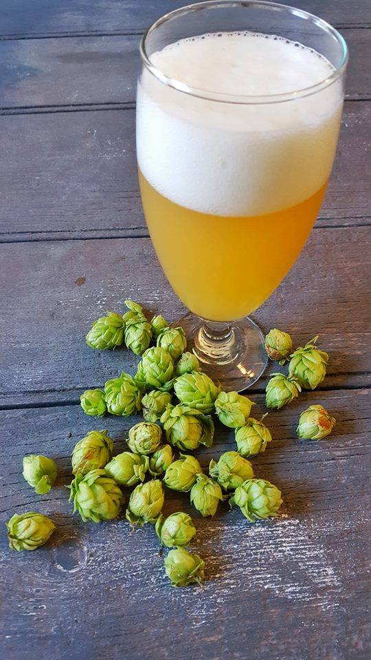 GearHouse Brewing Co | restaurant | 253 Grant St, Chambersburg, PA 17201, USA | 7175522427 OR +1 717-552-2427