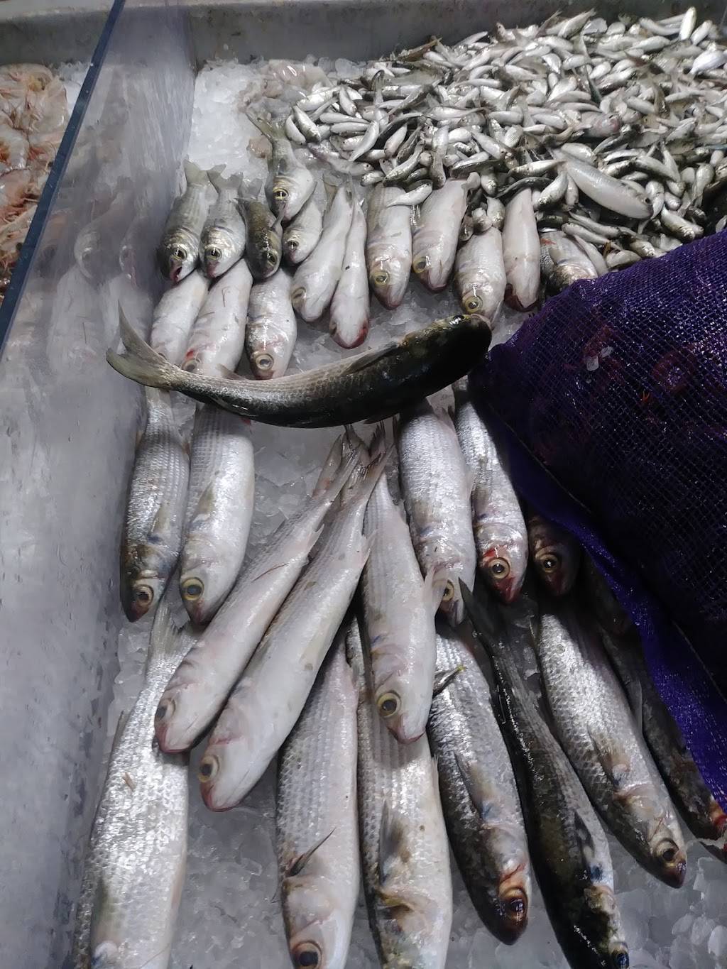 Boyds Cajun Grill Express | restaurant | 227 Dike Rd, Texas City, TX 77590, USA | 4099950903 OR +1 409-995-0903