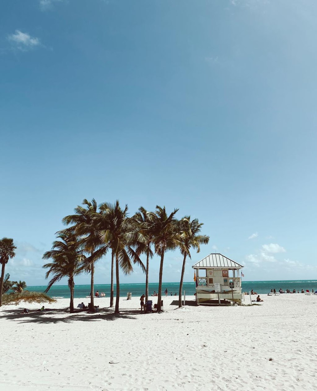 Open Seas Paellas Españolas | restaurant | 33149 Crandon Park, Key Biscayne, FL 33149, USA | 3057945442 OR +1 305-794-5442