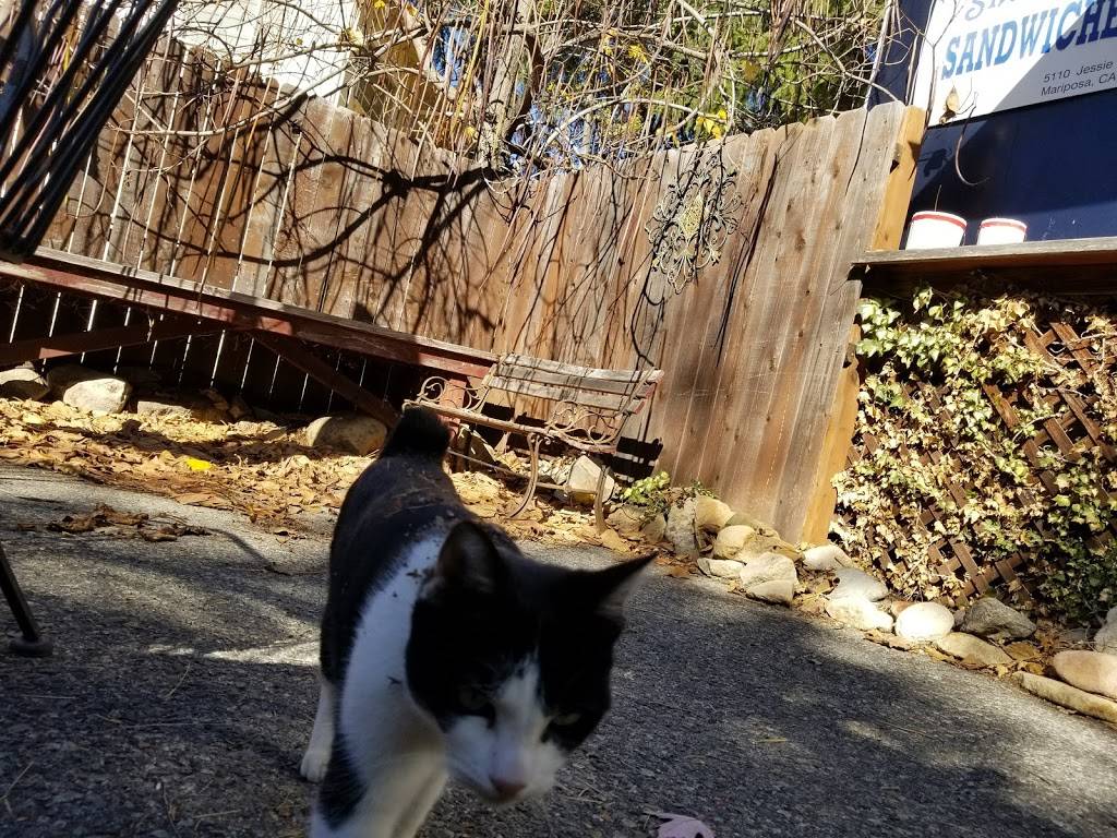 Shortstop Sandwiches | meal takeaway | 5110 Jessie St, Mariposa, CA 95338, USA | 2099667447 OR +1 209-966-7447