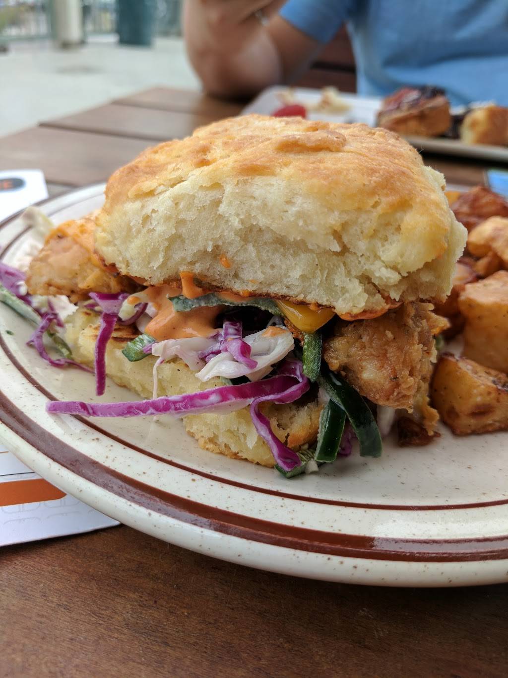 OB Surf Lodge | restaurant | 5083 Santa Monica Ave Suite 1F, San Diego, CA 92107, USA | 6199555475 OR +1 619-955-5475