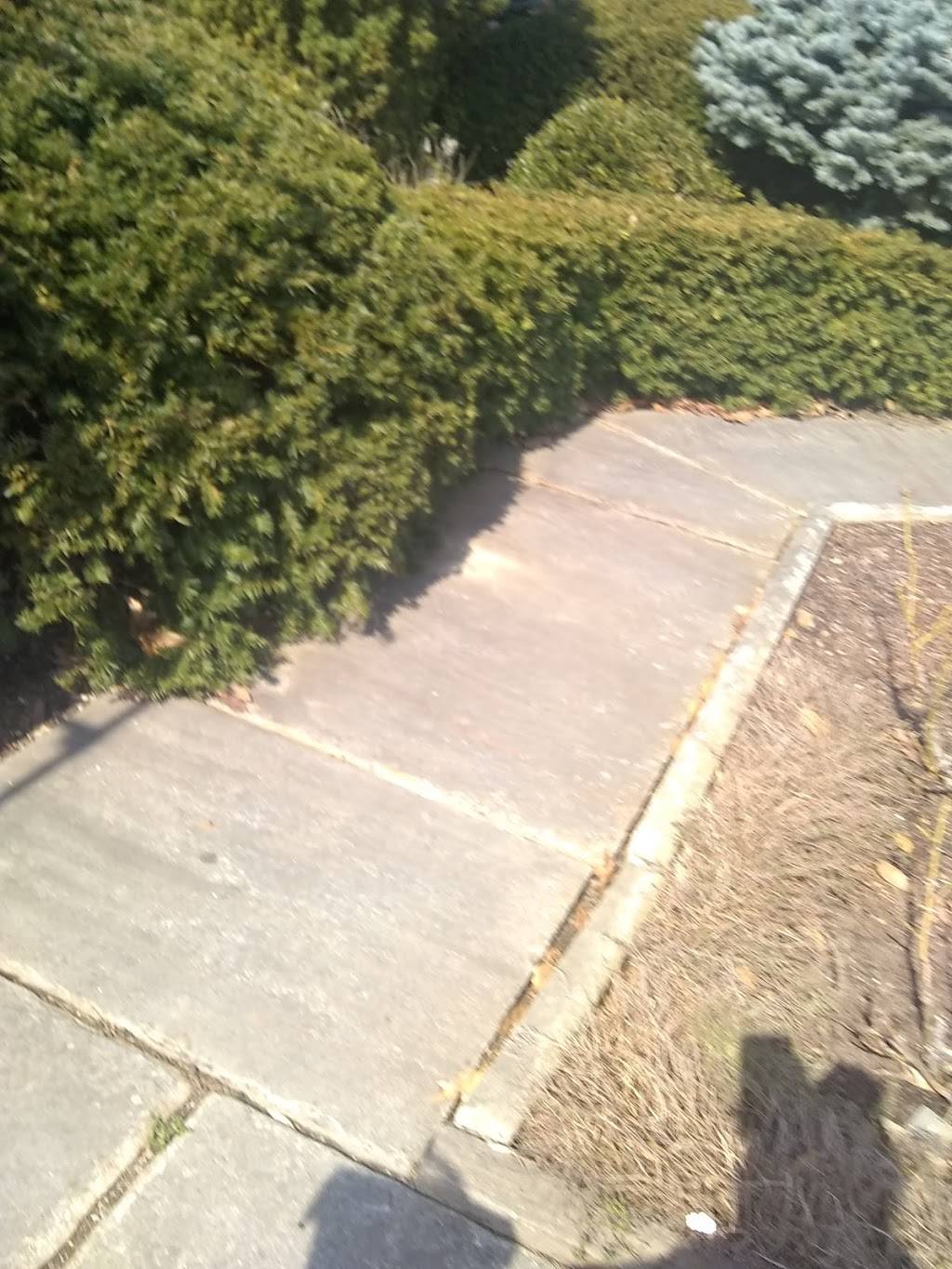 Infinity Sports Lounge | restaurant | 770 E 185th St, Euclid, OH 44119, USA | 2164815002 OR +1 216-481-5002