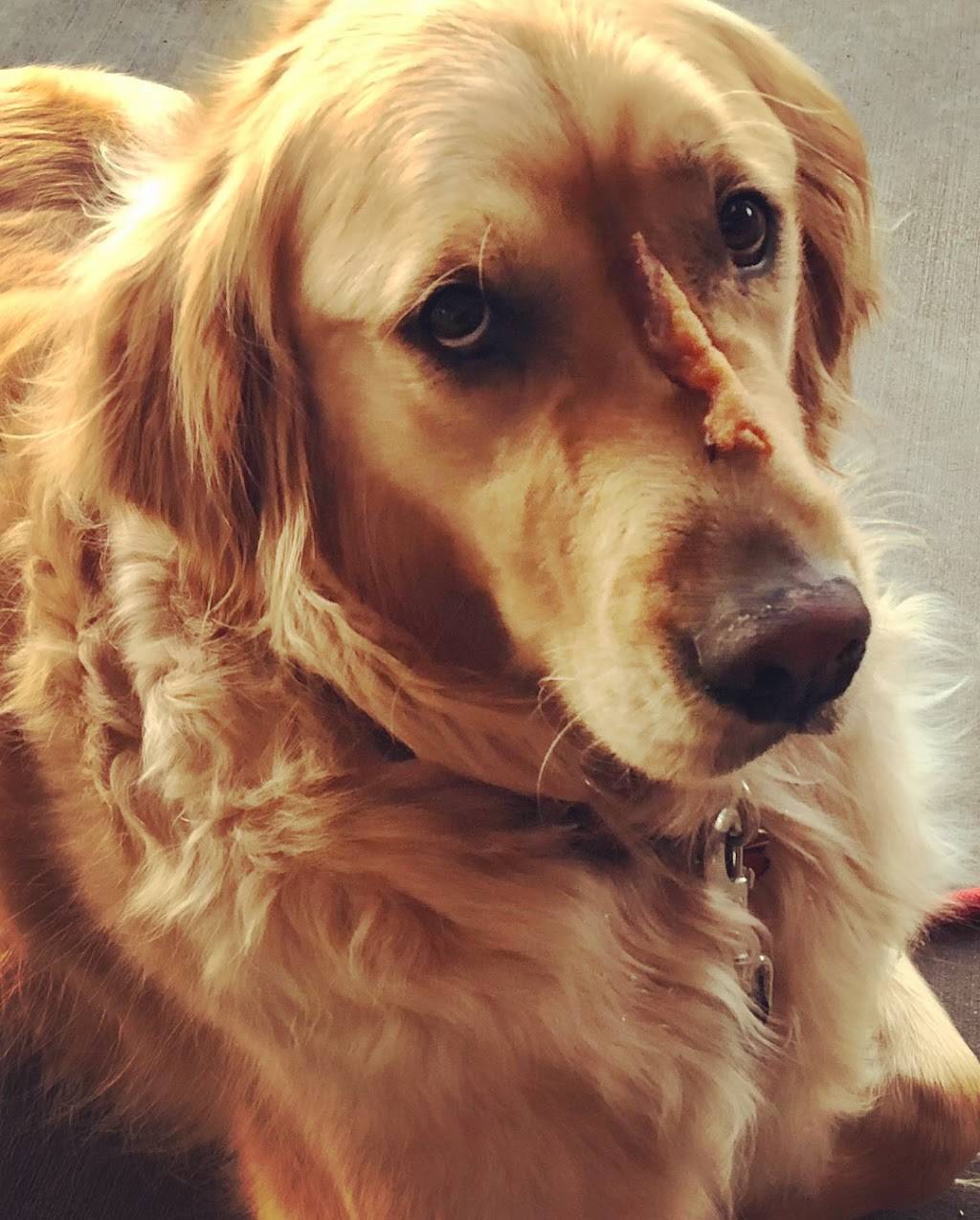 The Ridge Eat & Drink | restaurant | 3325-201 Rocky Ridge Plz, Vestavia Hills, AL 35243, USA | 2059175080 OR +1 205-917-5080