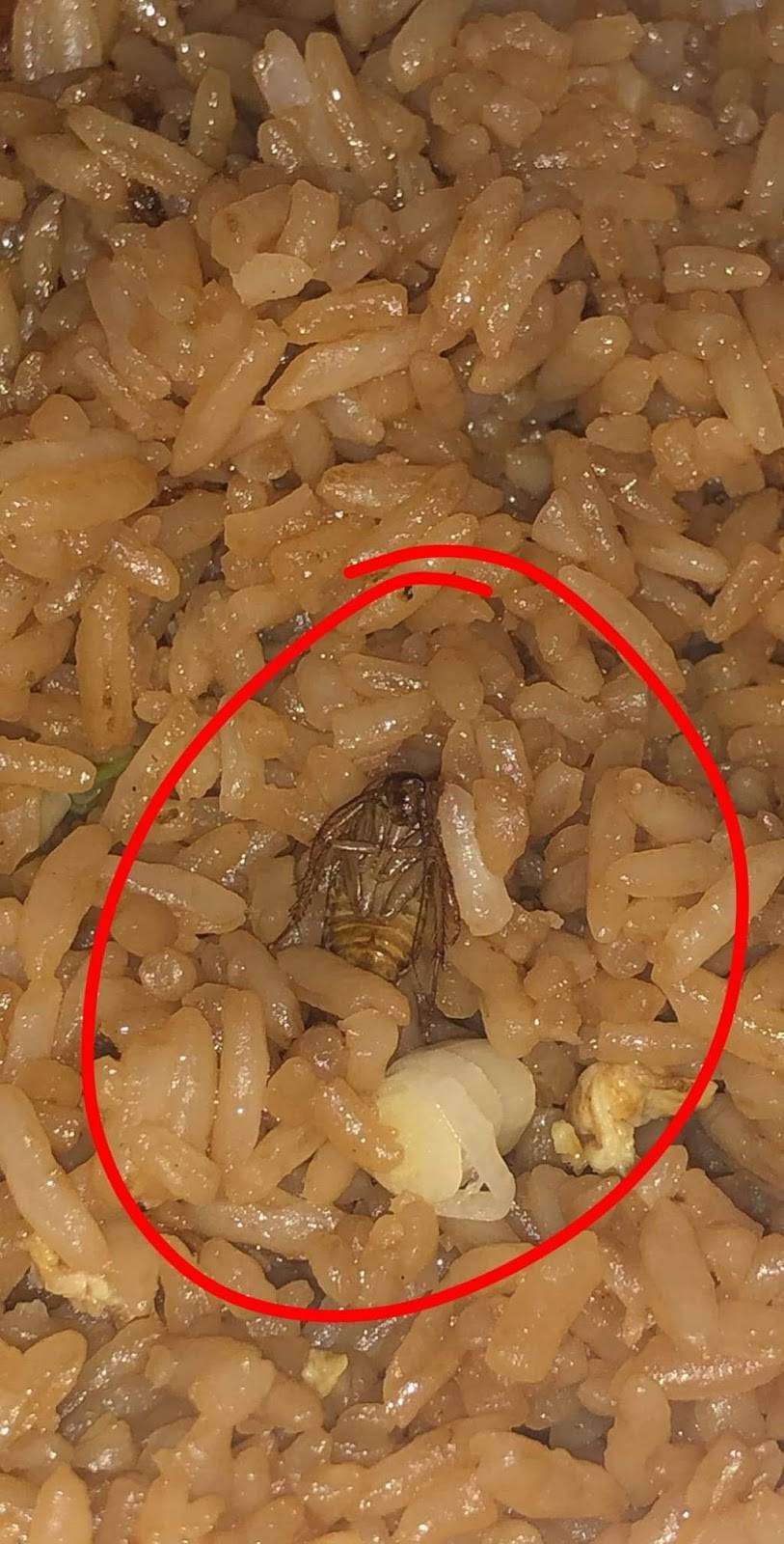 Egg-Roll Express | restaurant | 1807 Decker Blvd # 12, Columbia, SC 29206, USA | 8037876420 OR +1 803-787-6420