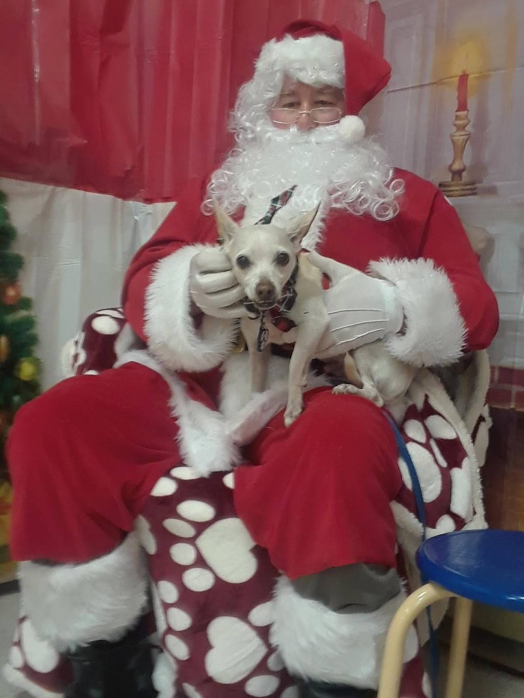 Subway | restaurant | 4870 Babcock St NE, Palm Bay, FL 32905, USA | 3216762488 OR +1 321-676-2488