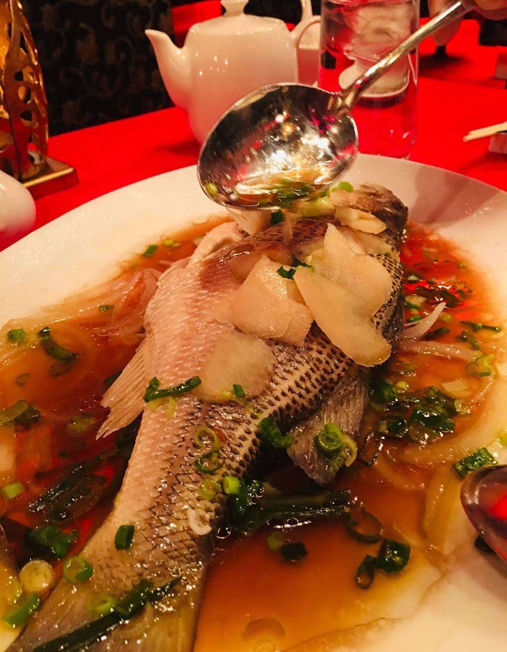 CHI | restaurant | 2707 S Virginia St, Reno, NV 89502, USA | 7756898889 OR +1 775-689-8889