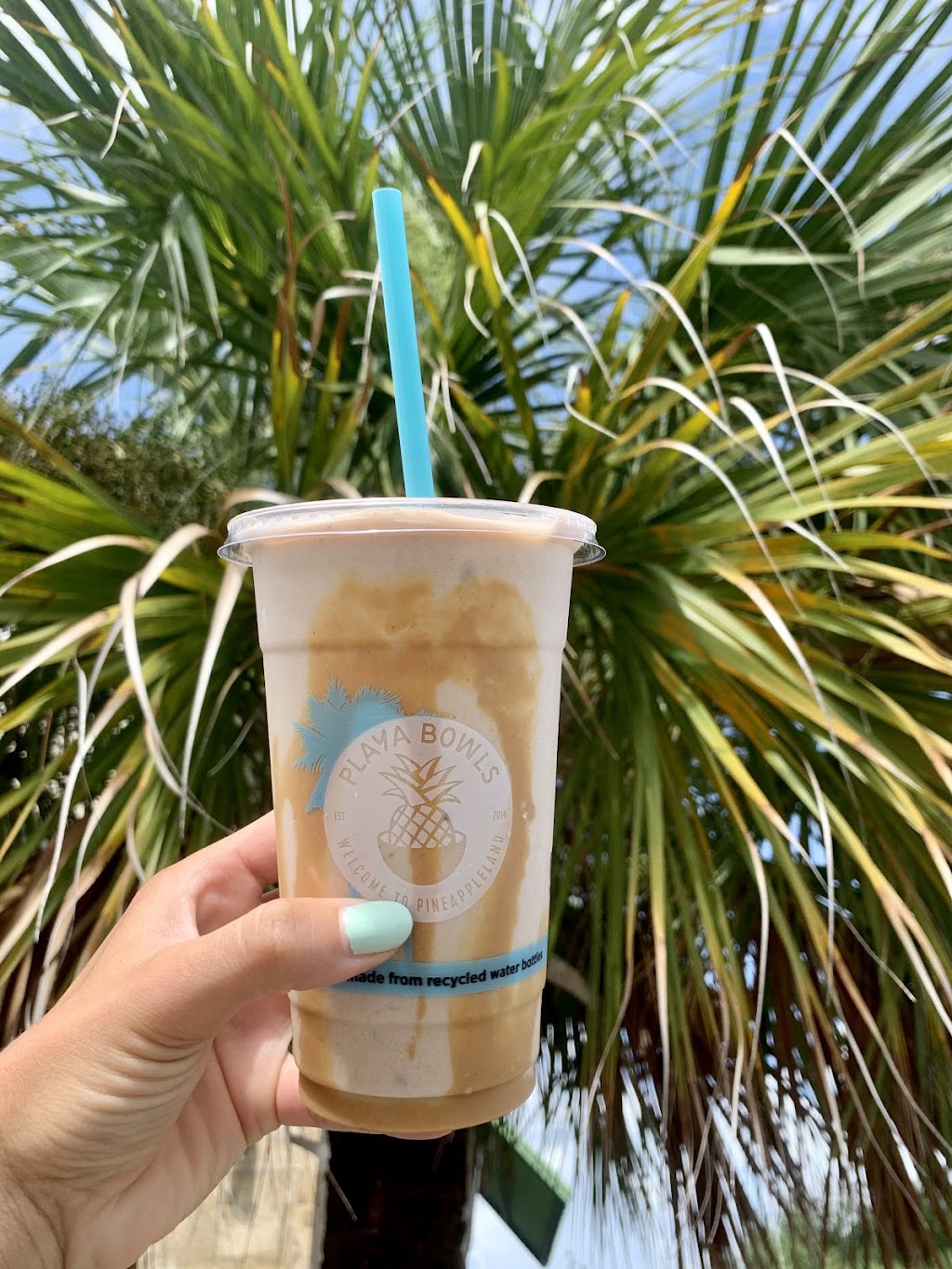 Playa Bowls | restaurant | 10041 University Plaza Dr Suite 160, Fort Myers, FL 33913, USA | 2398874931 OR +1 239-887-4931