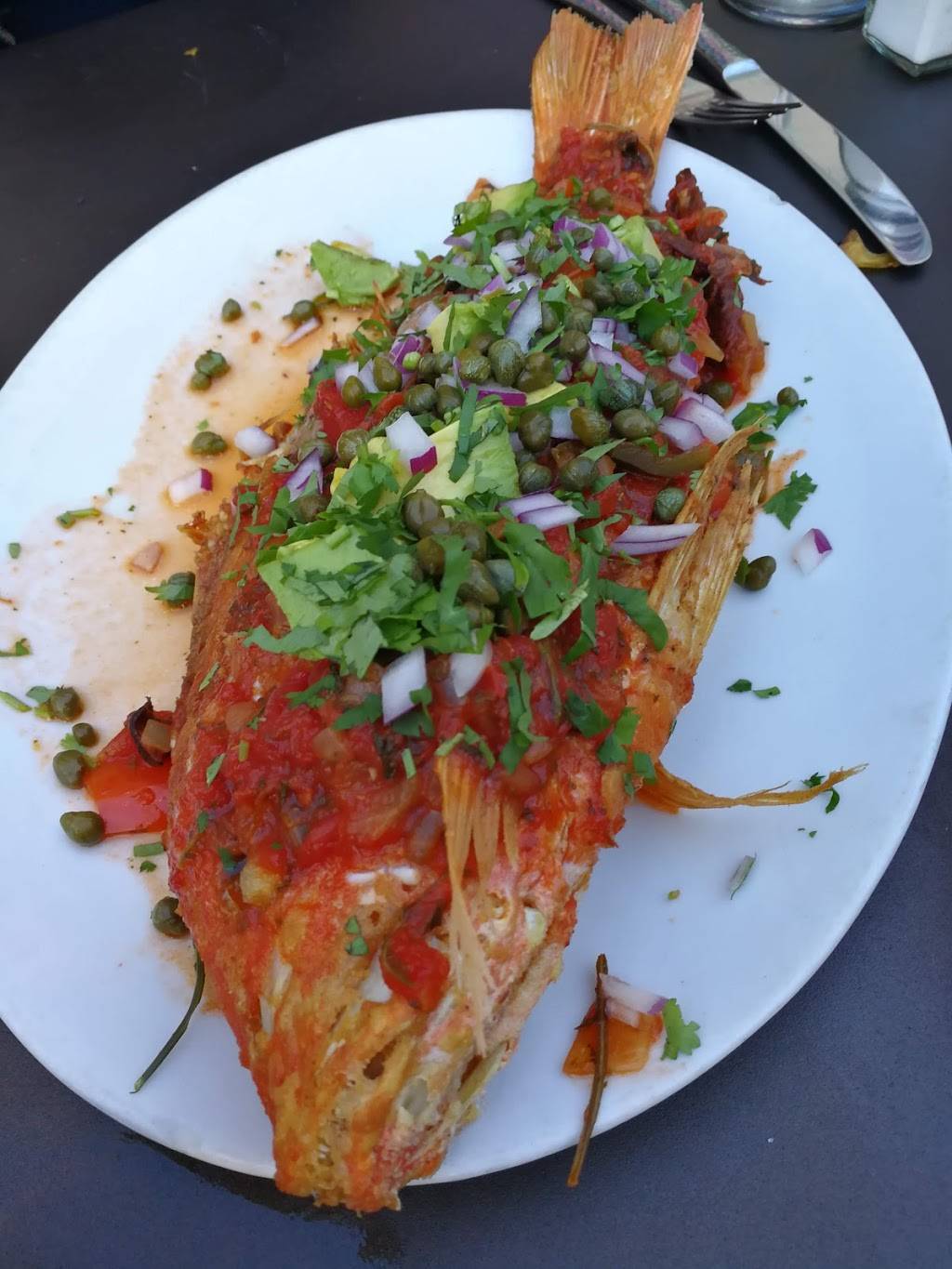 Adobo Grill | restaurant | 215 W North Ave, Chicago, IL 60610, USA | 3122667999 OR +1 312-266-7999