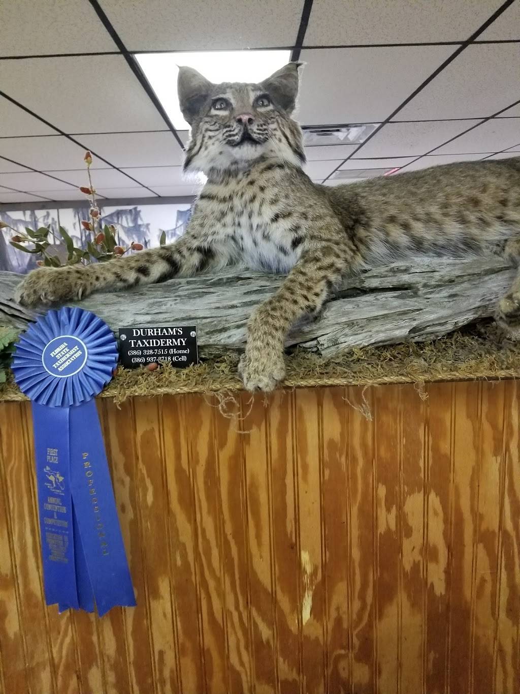 Bradley’s Seafood Steaks | restaurant | 909 N, FL-19, Palatka, FL 32177, USA | 3863264334 OR +1 386-326-4334