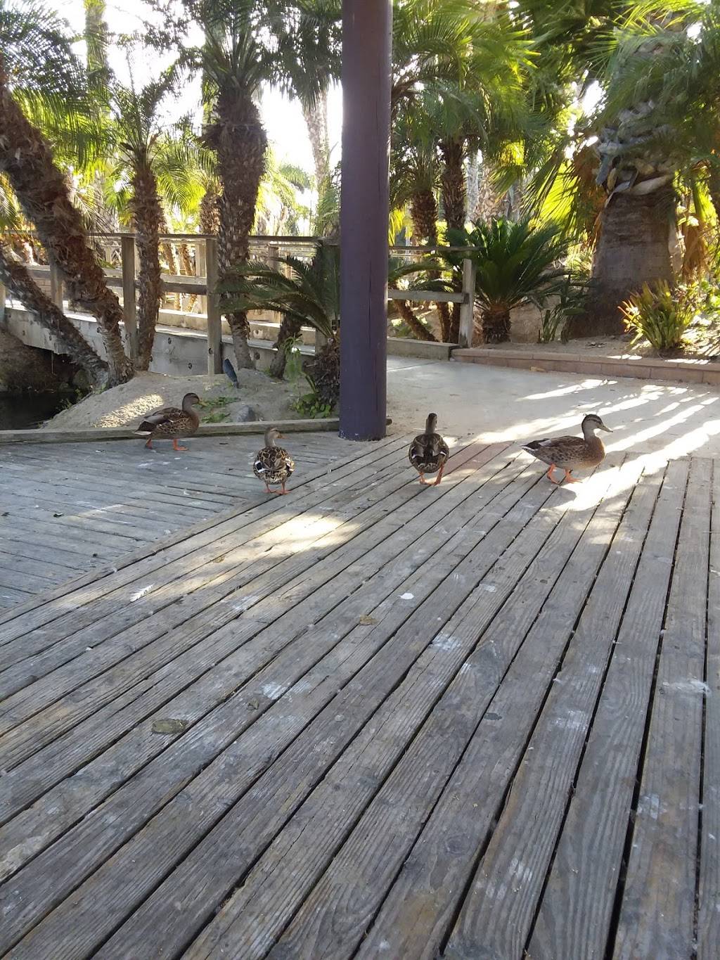 Paradise Point | restaurant | 1404 Vacation Rd, San Diego, CA 92109, USA | 8582744630 OR +1 858-274-4630