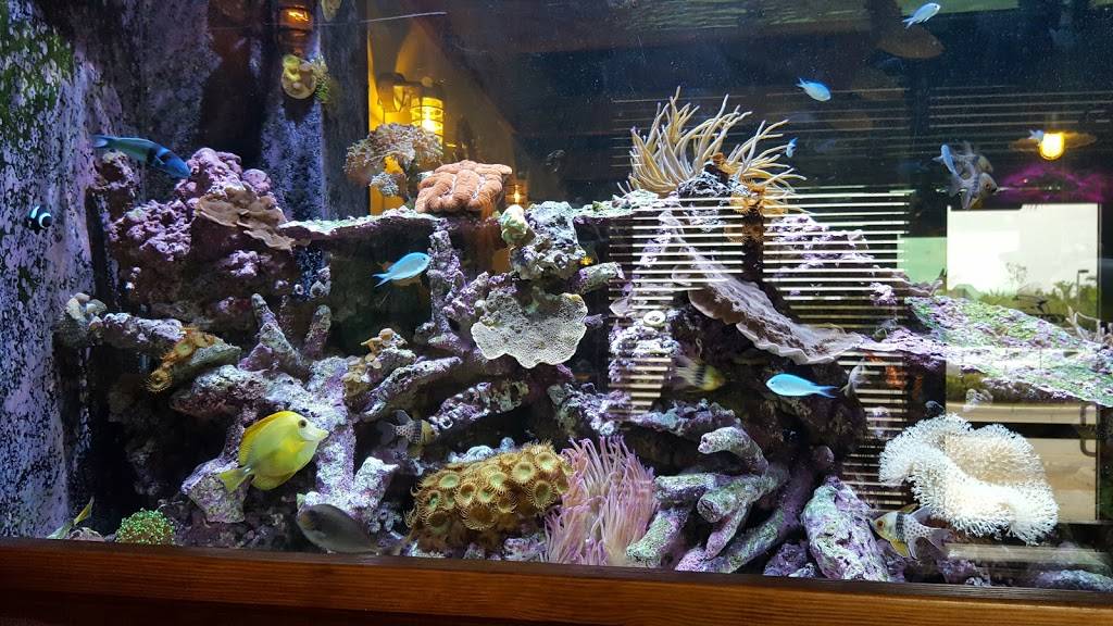 Bonefish Macs Sports Grille | restaurant | 6174 W Sample Rd, Coral Springs, FL 33067, USA | 9547526227 OR +1 954-752-6227