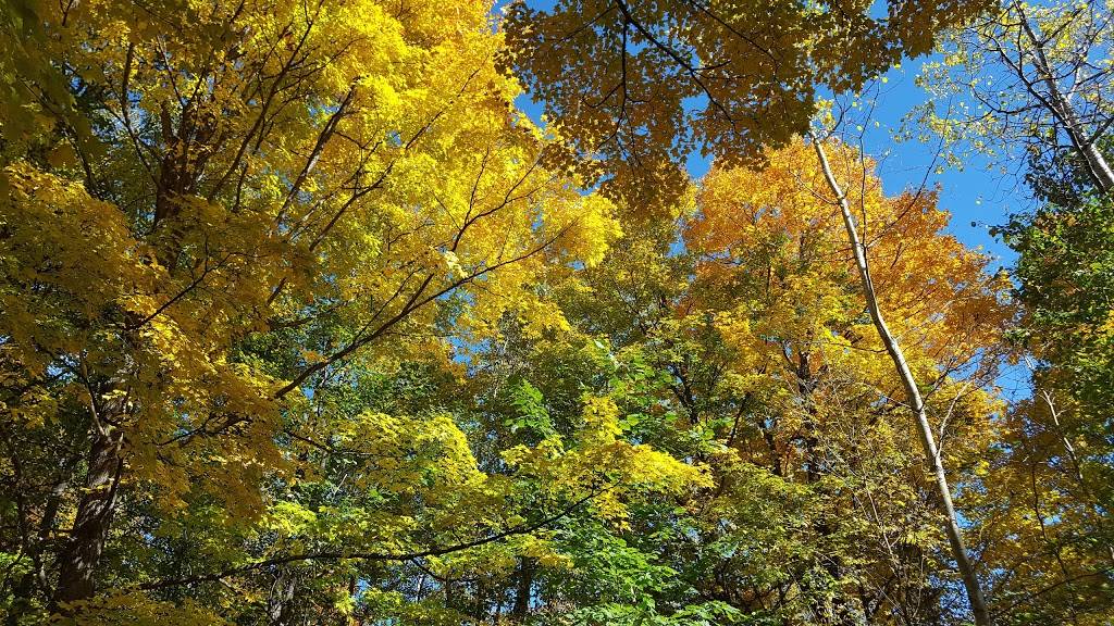 Chicos North of the Border | restaurant | 4185 Branch Rd, Park Falls, WI 54552, USA | 7155834423 OR +1 715-583-4423