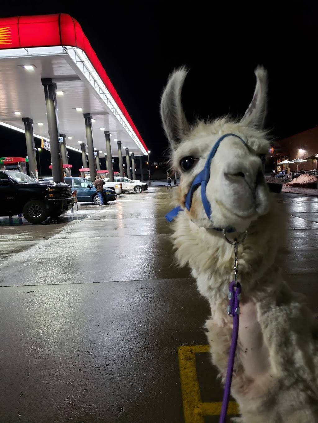 Sheetz | cafe | 300 W Main St, Brookville, PA 15825, USA | 8148497900 OR +1 814-849-7900