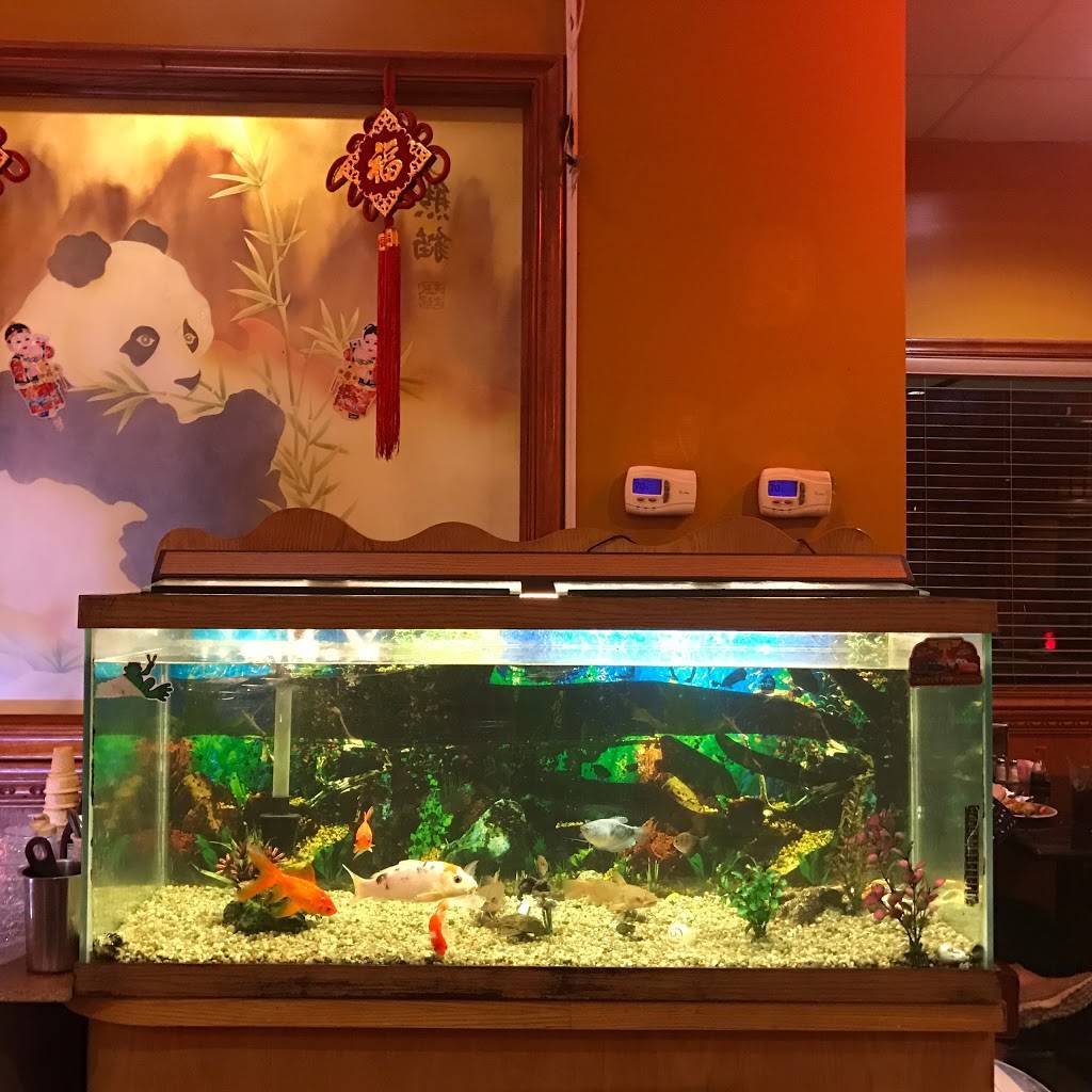 China House Buffet | restaurant | 1815 E Jackson Blvd, Jackson, MO 63755, USA | 5732044188 OR +1 573-204-4188